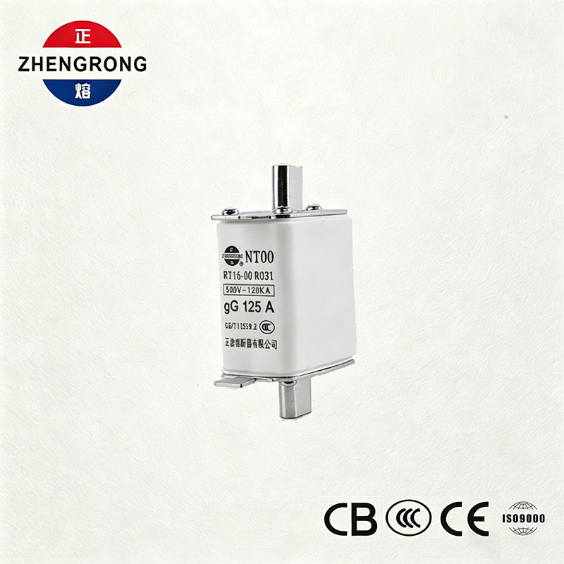 Fusible NT00 125A de alta capacidad de rotura - vínculo de fusible gG de cerámica de 500 V 120 kA