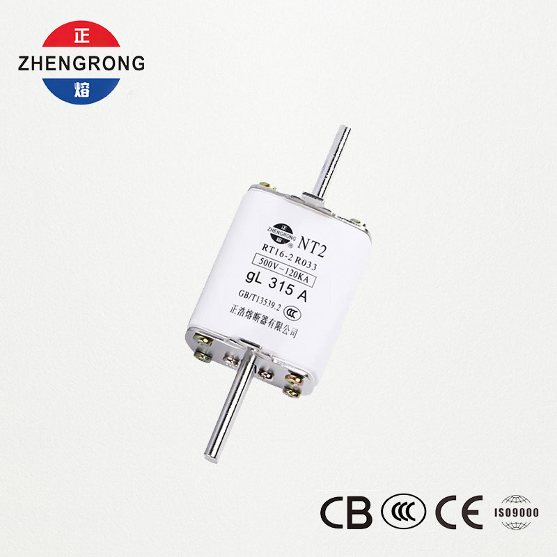Enlace fusible NT2 315A | Fusible cerámico RT16-2 500 V gL